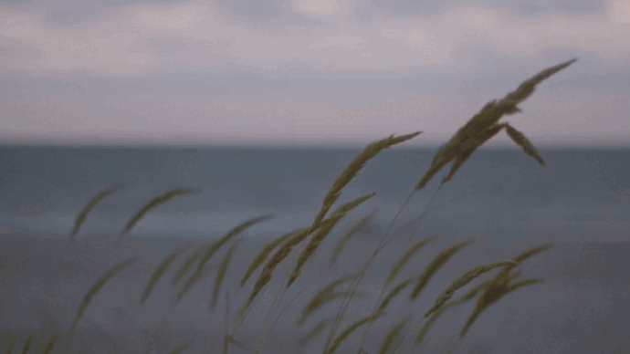Vue du projet Élégance naturelle